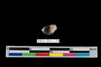 藏品(水晶)的圖片